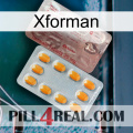 Xforman new13